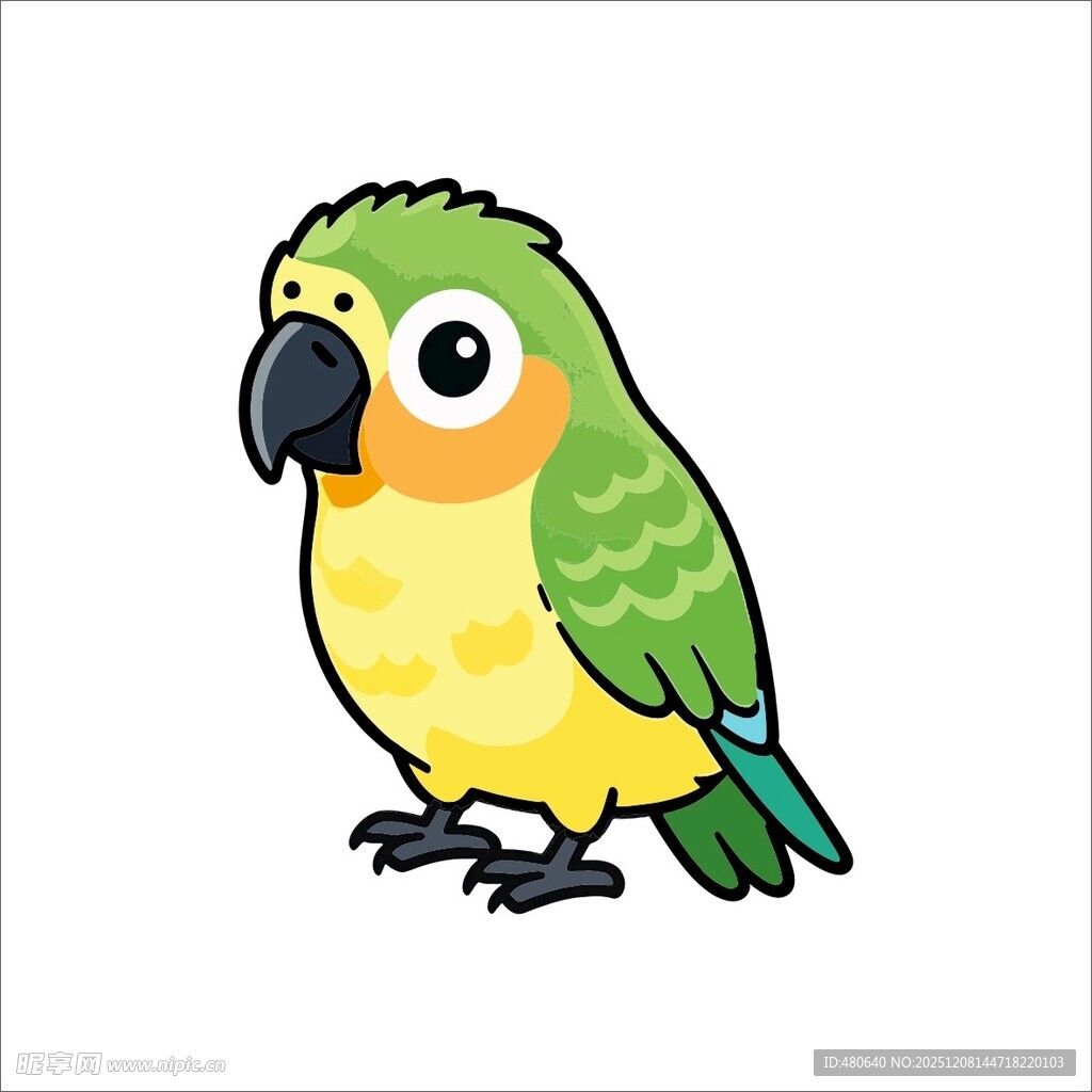 可爱卡通鹦鹉形象