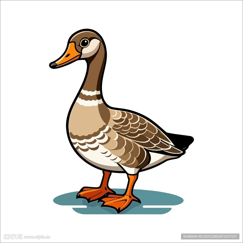 站立的棕色鸭子插画