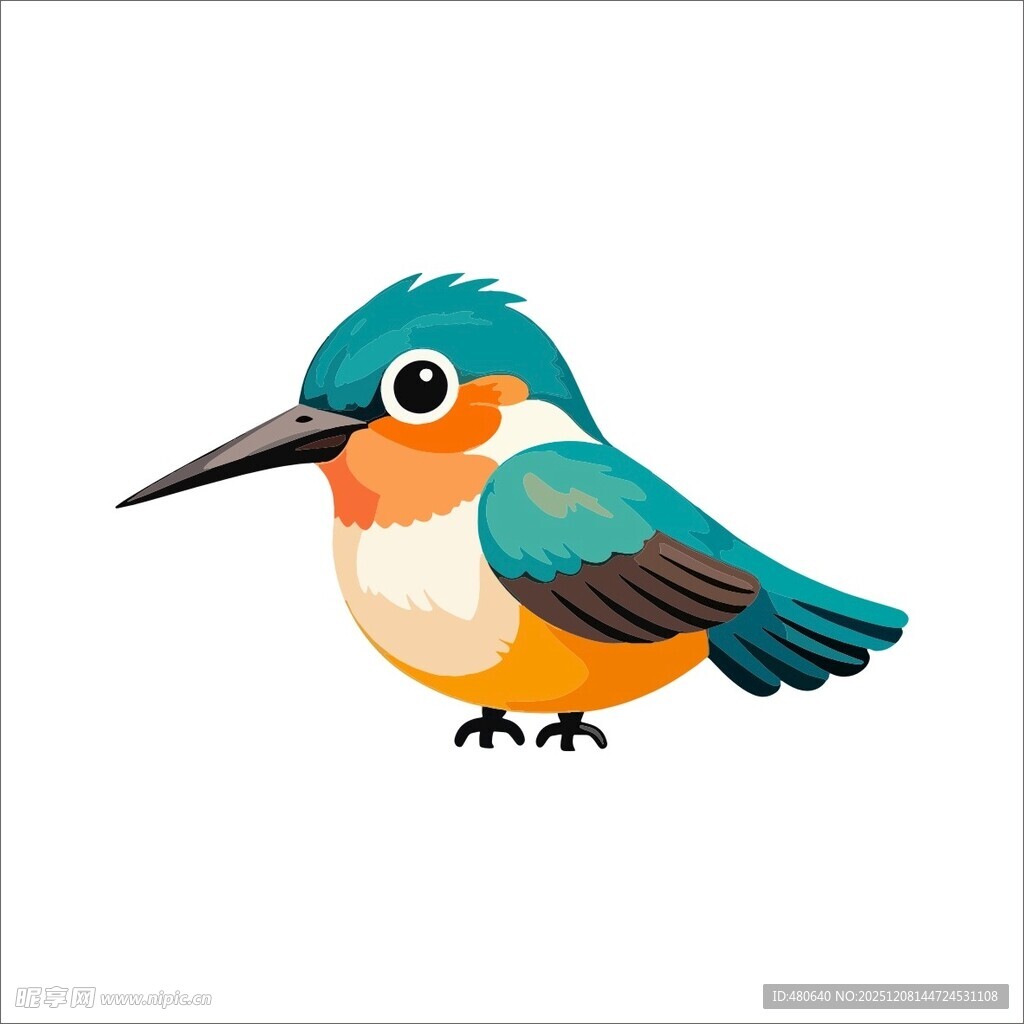 可爱翠鸟插画
