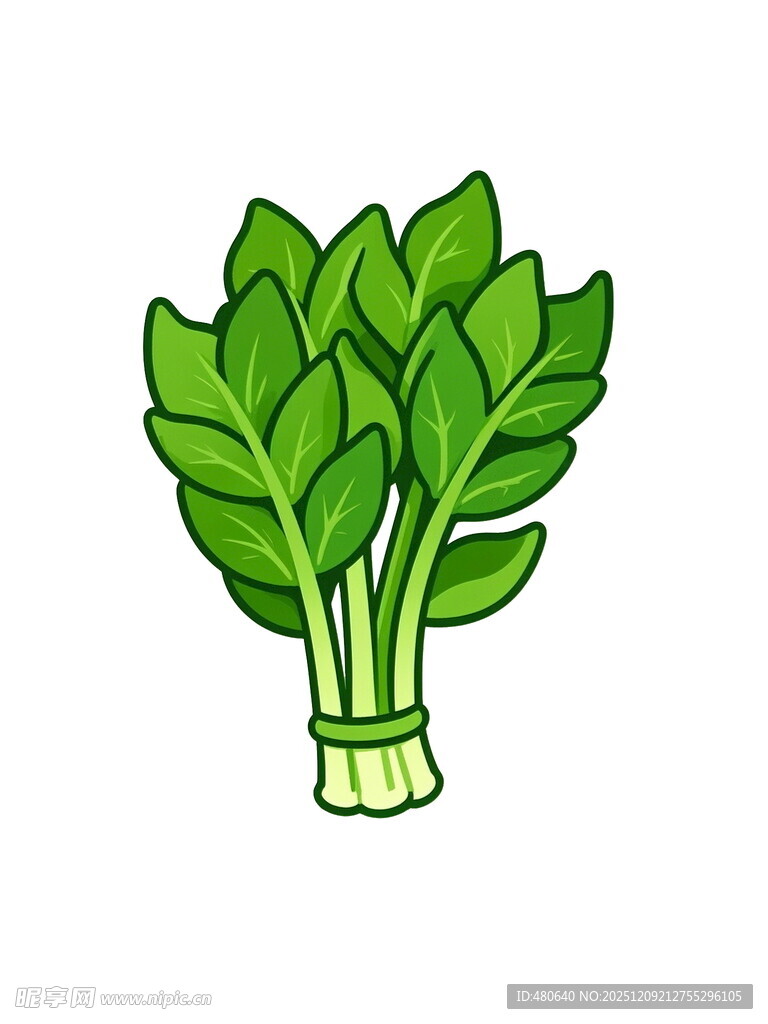 卡通青菜插画