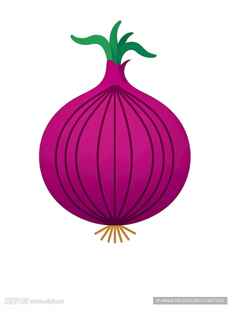 紫色洋葱插画