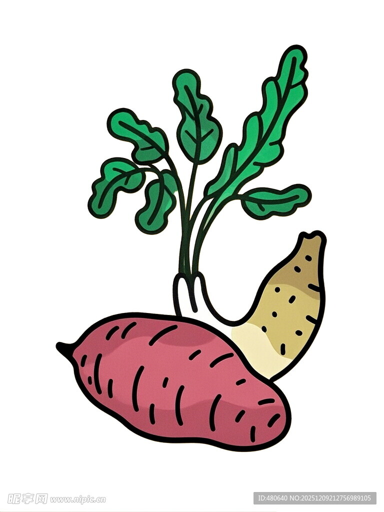 卡通甘薯与绿叶插画