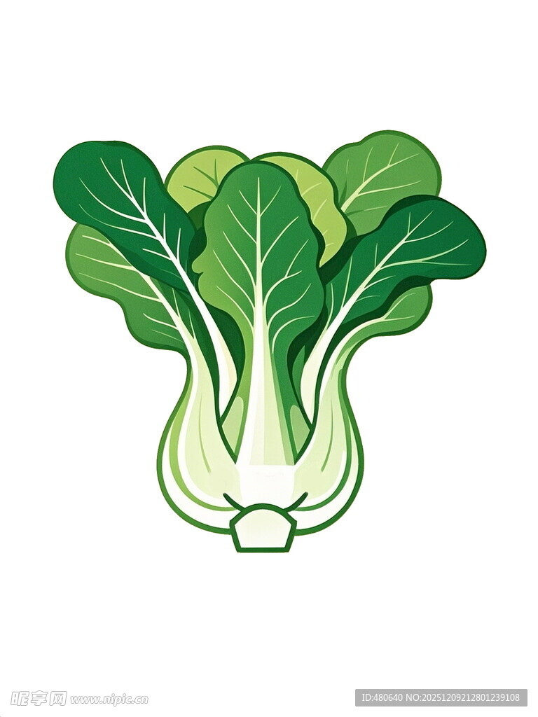 卡通小白菜插画