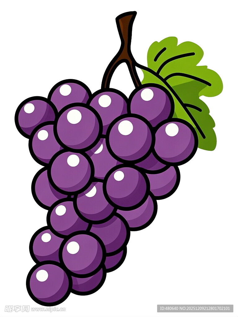 一串紫葡萄插画