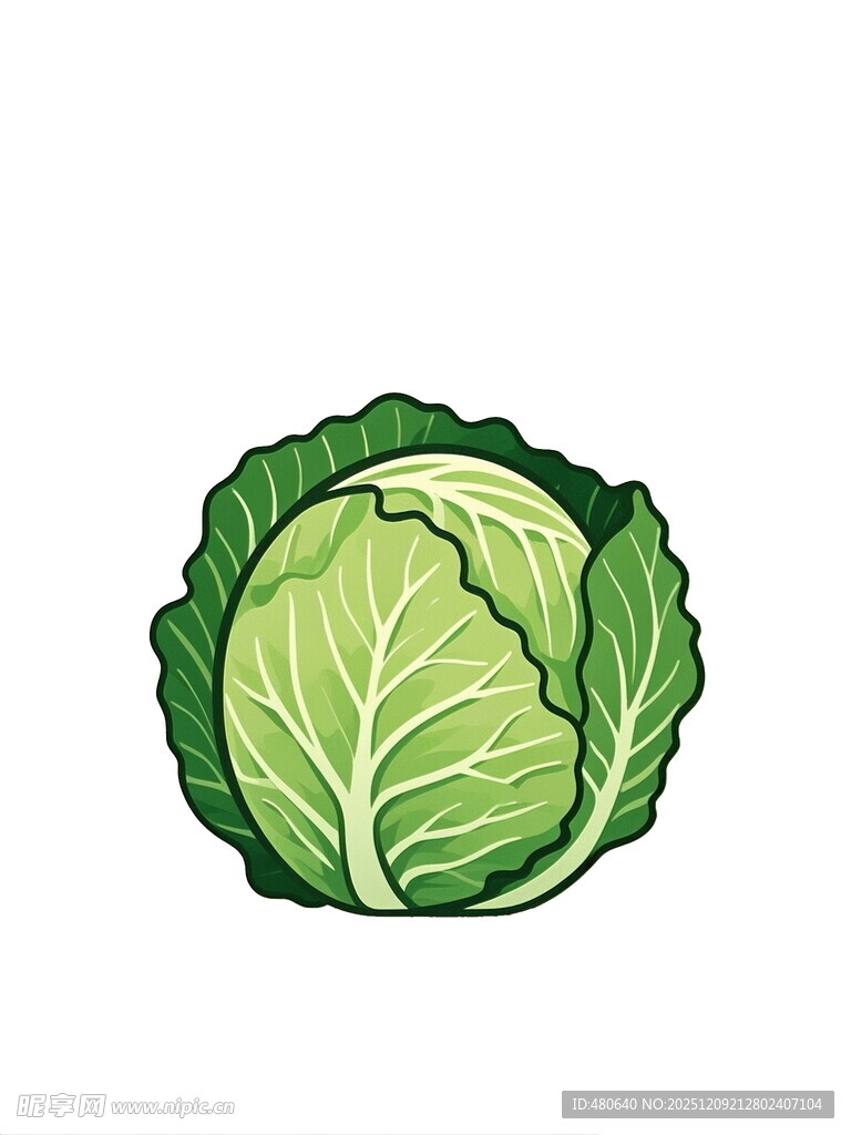 一颗新鲜的卷心菜