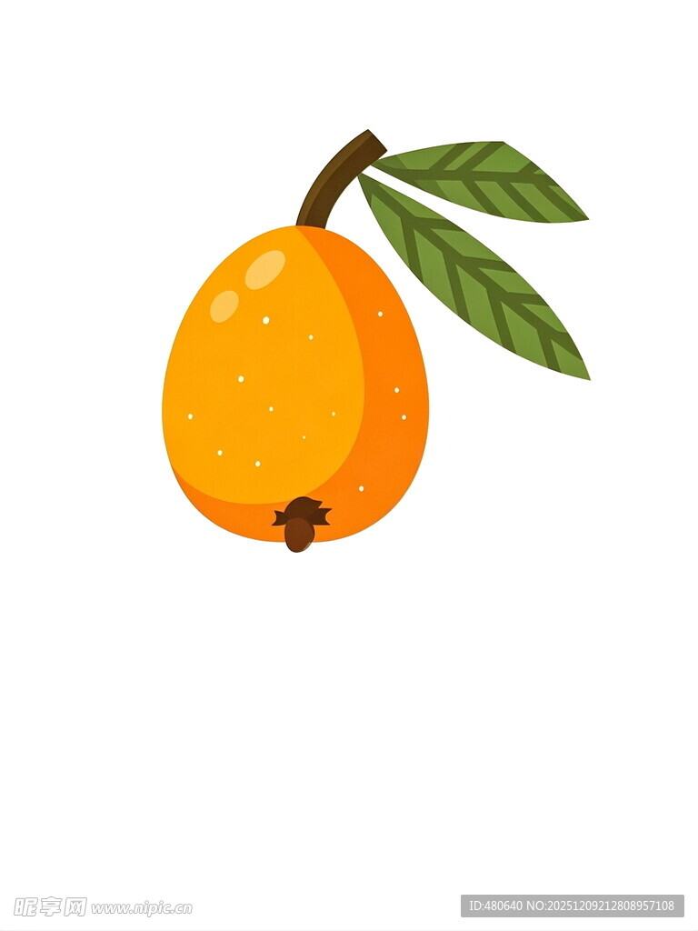 手绘橙色枇杷带绿叶