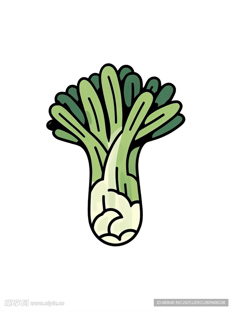 卡通白菜插画
