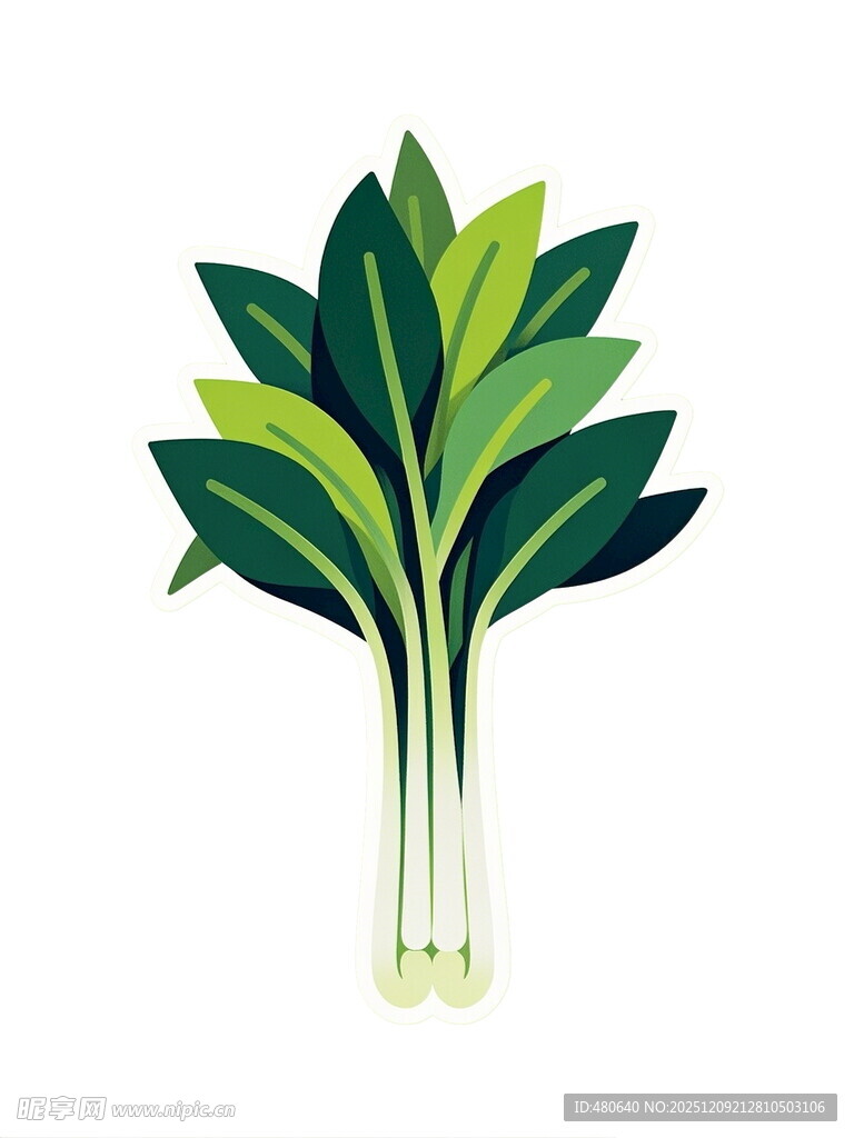 新鲜绿叶蔬菜插画