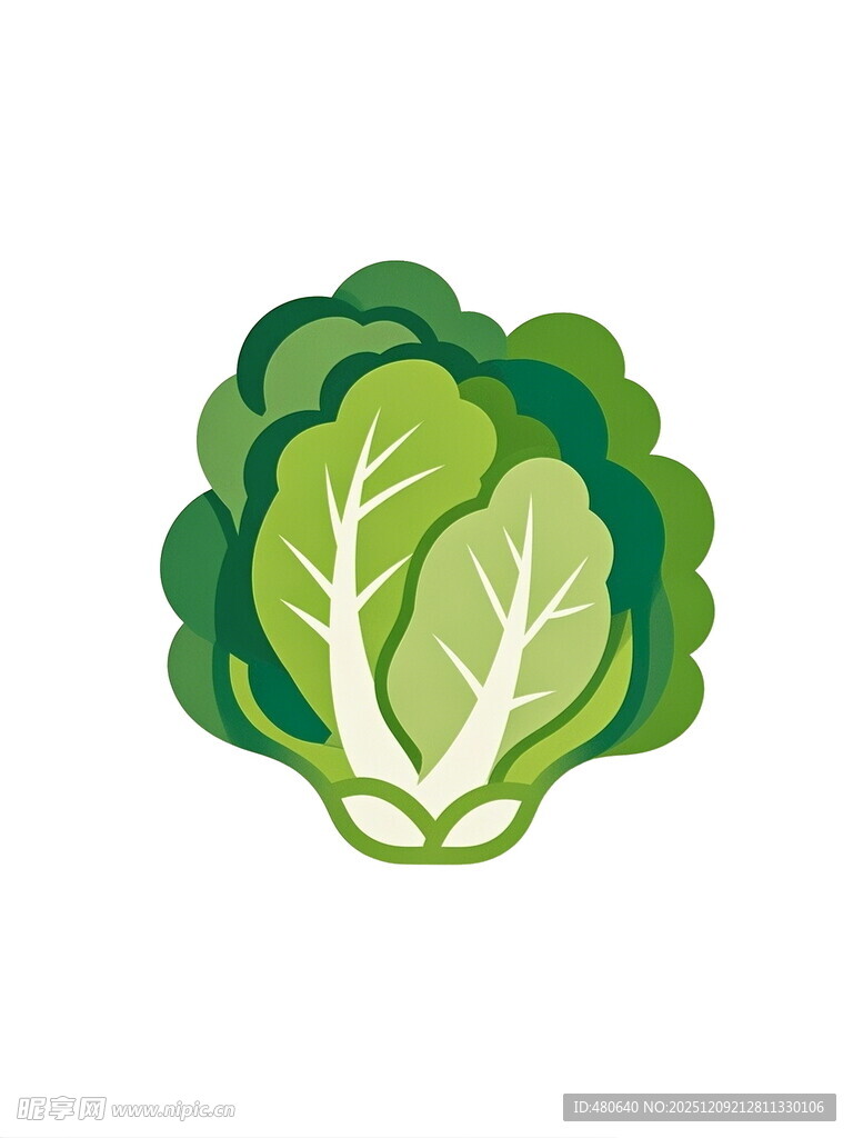 新鲜卷心菜图标