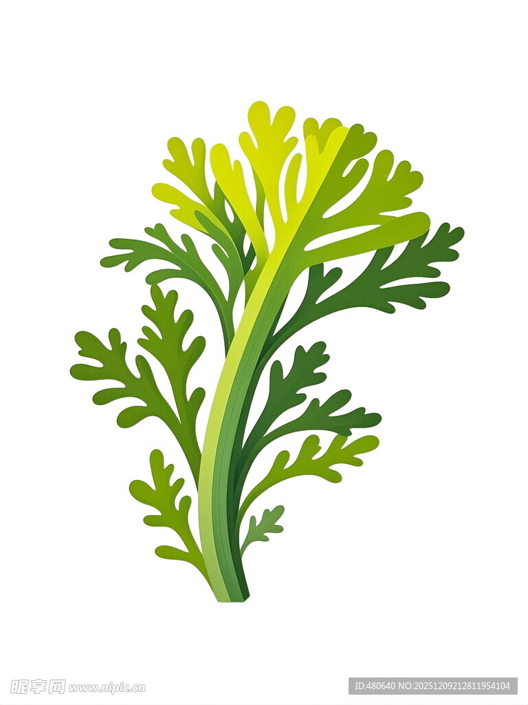 绿色清新风植物插画