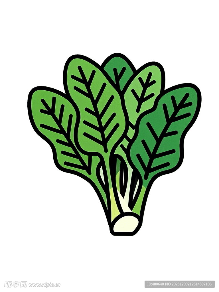 卡通青菜插画