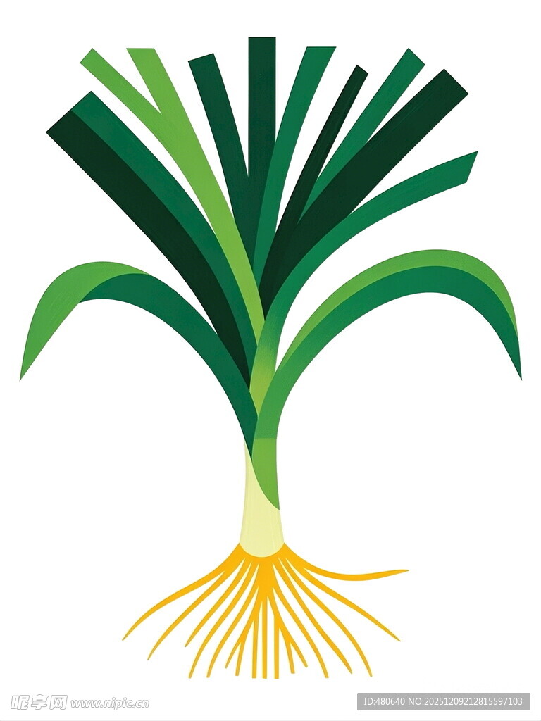 葱的矢量插画图