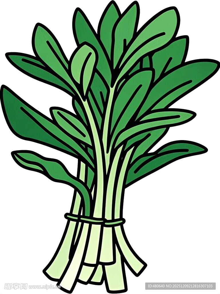 一捆新鲜的绿叶蔬菜