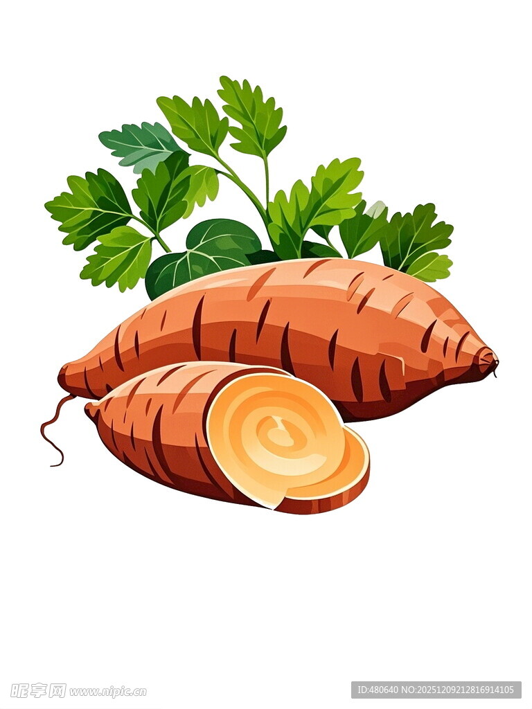 新鲜胡萝卜及切片展示