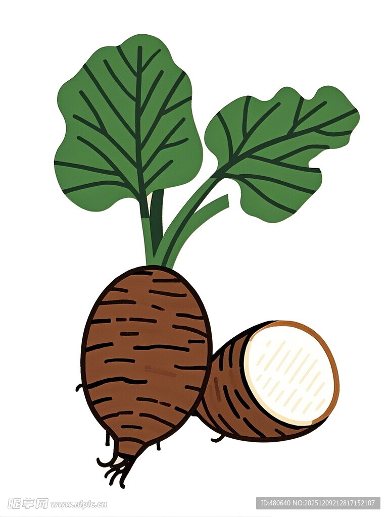 卡通形象的萝卜插画