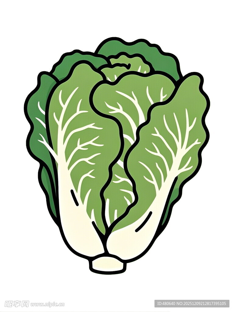 卡通白菜插画