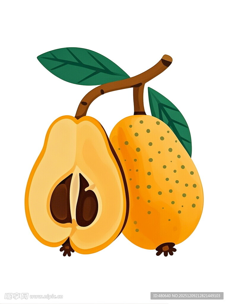 手绘梨子一个完整一个切开