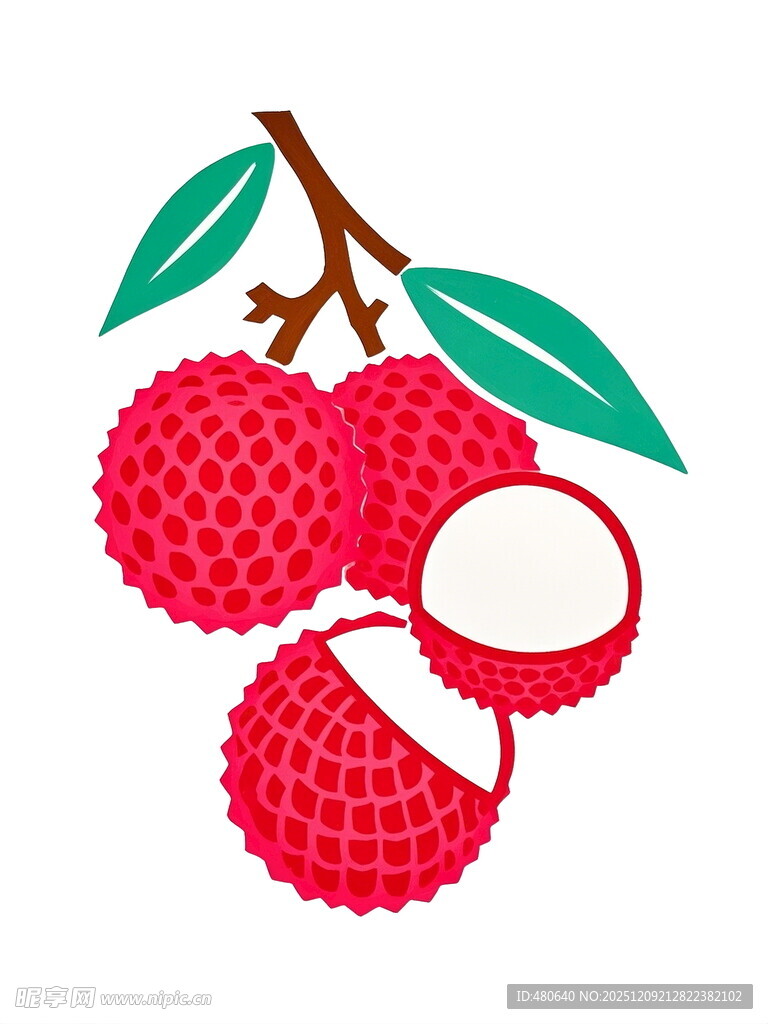 新鲜荔枝插画