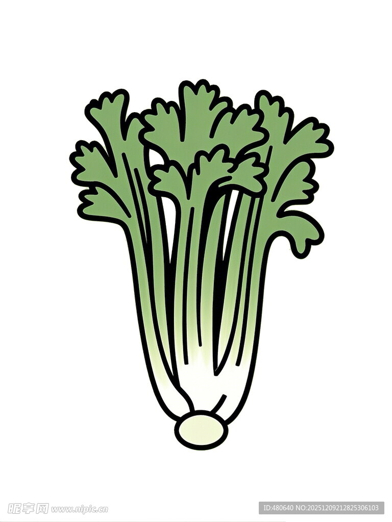 手绘芹菜图案