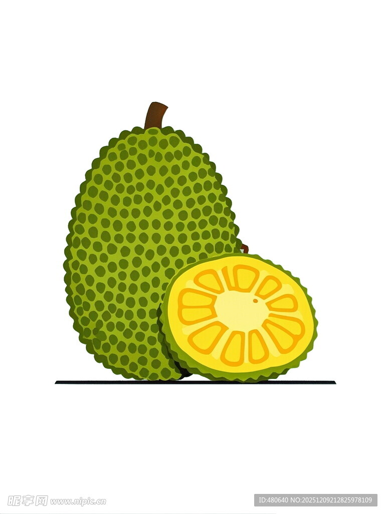 菠萝蜜插画完整与切片