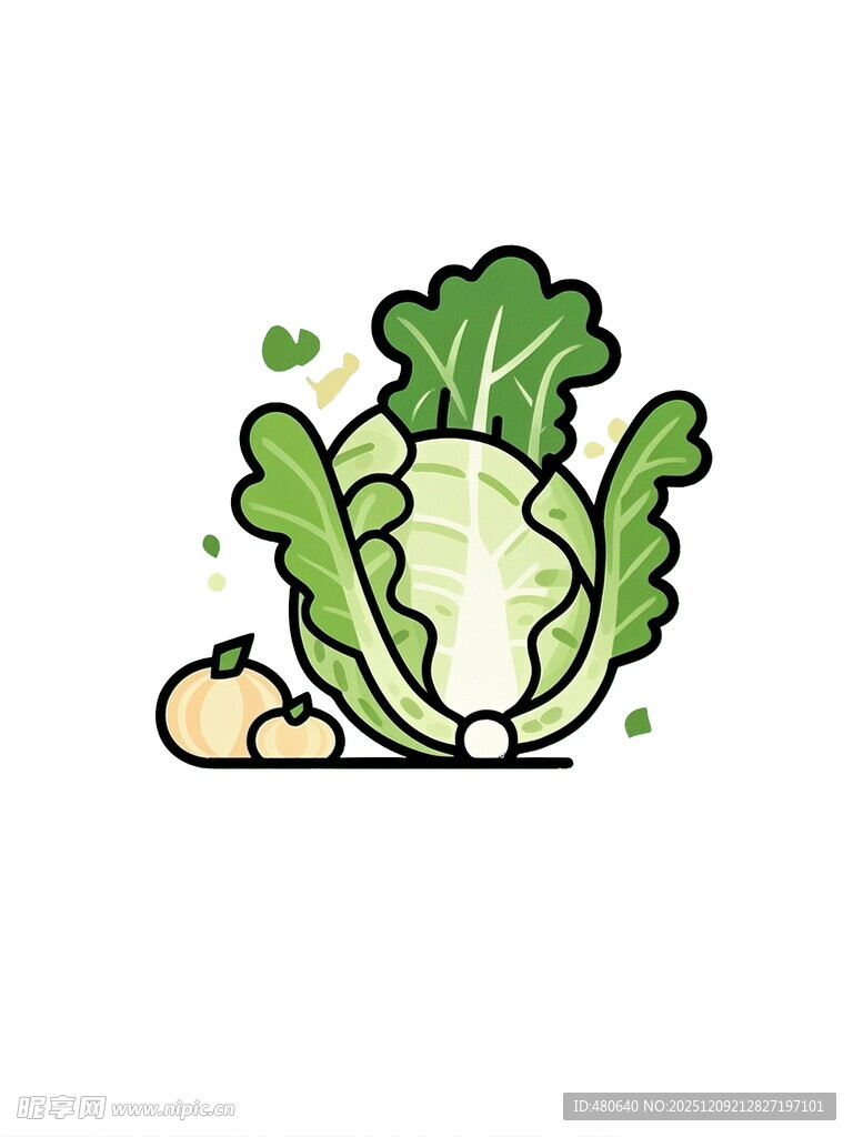 可爱卡通卷心菜插画