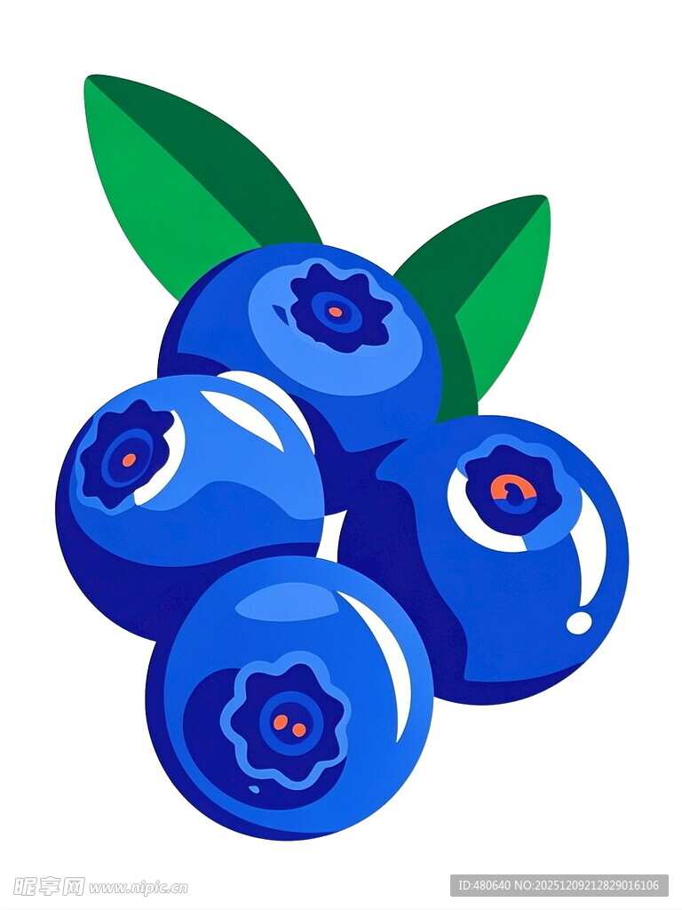 新鲜蓝莓插画