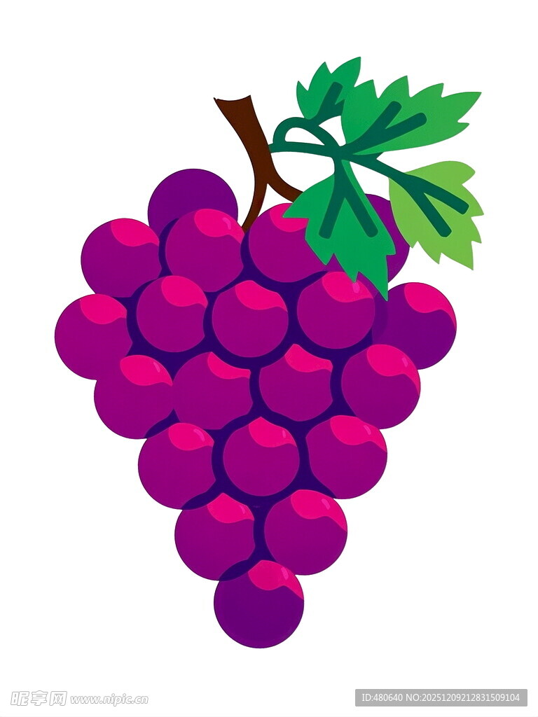 一串紫葡萄插画