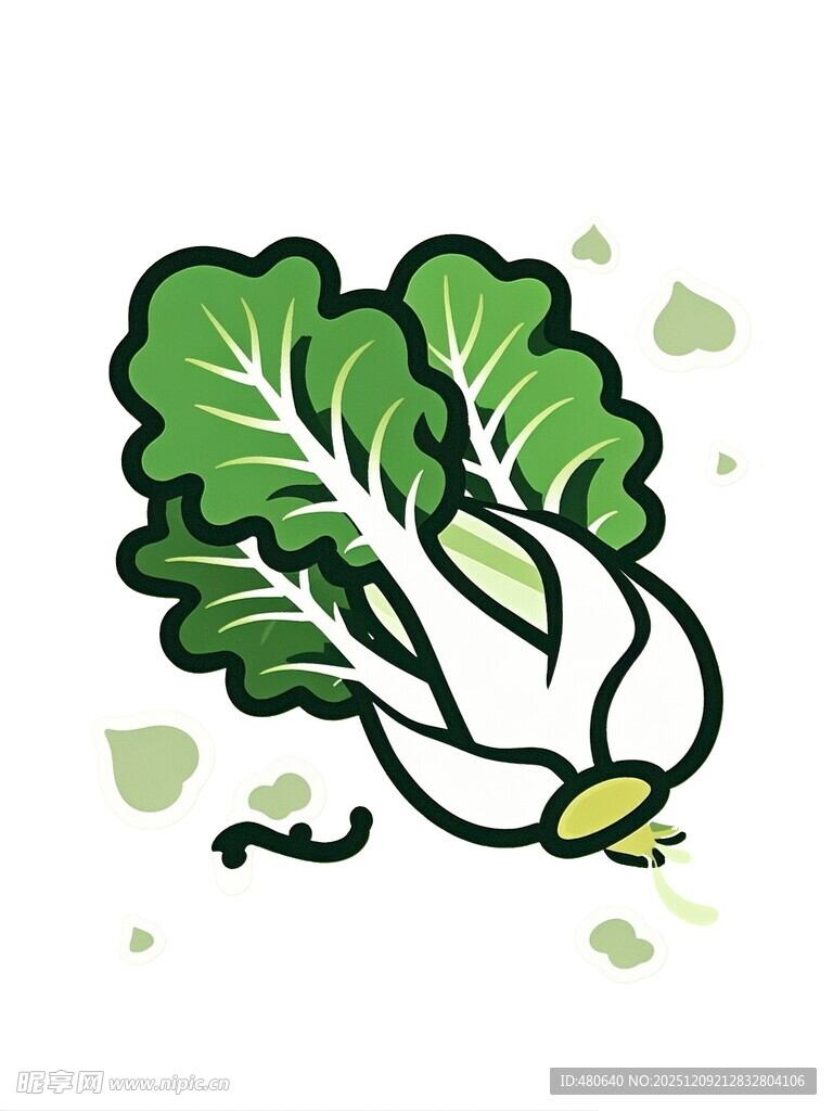 卡通白菜插画