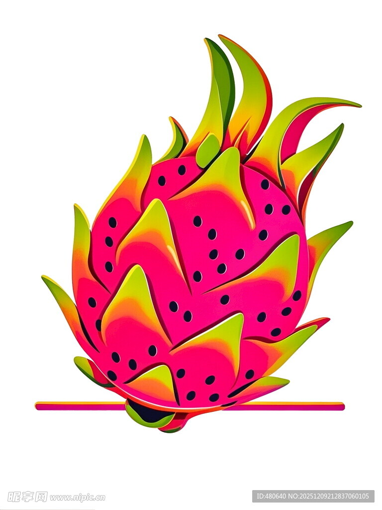 鲜艳火龙果插画
