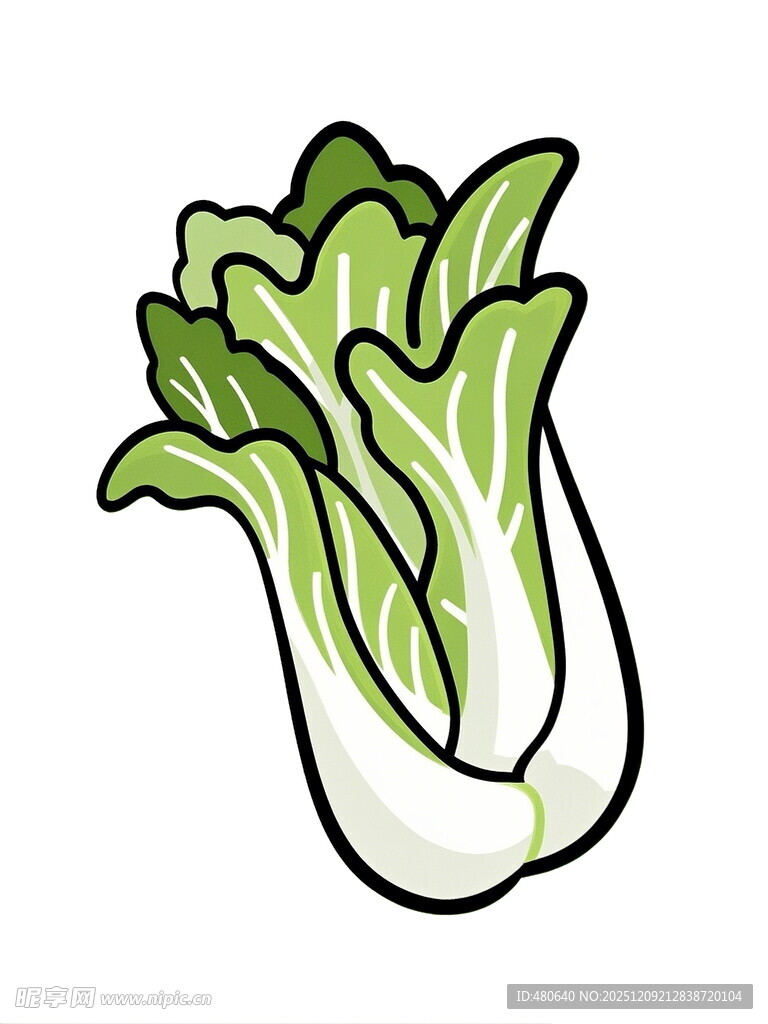 卡通小白菜插画
