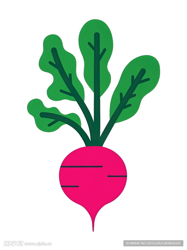 可爱粉色萝卜插画
