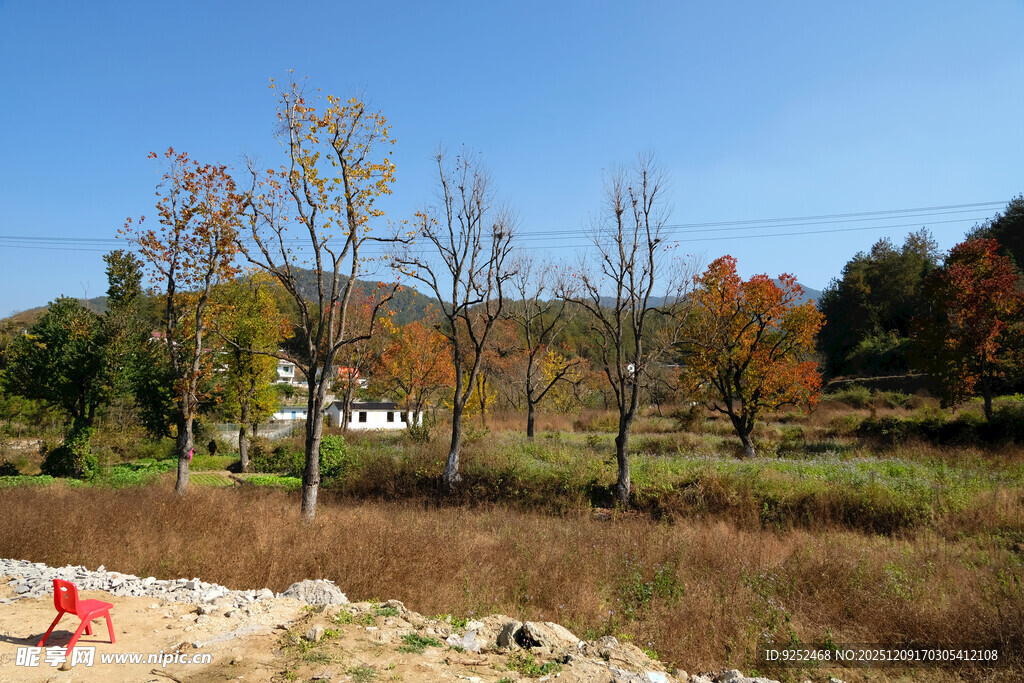 秋日 乡村