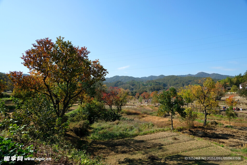 秋日 乡村