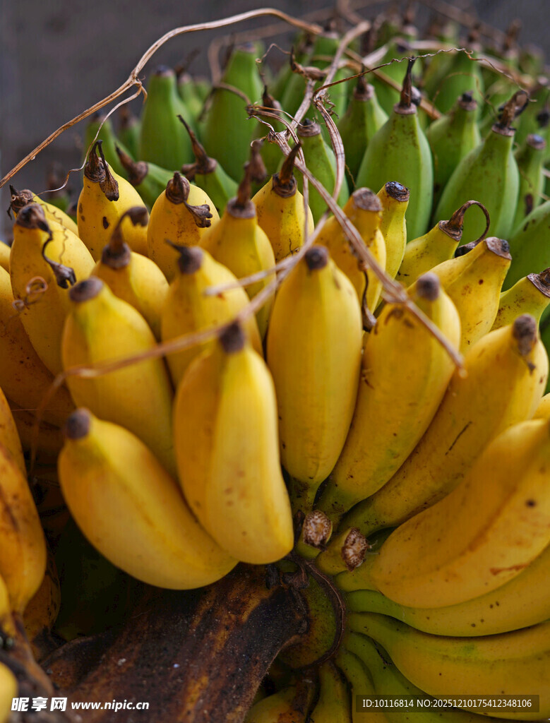 香蕉