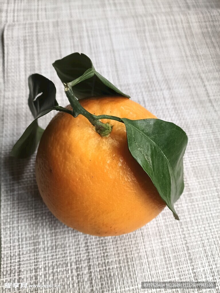 橙子