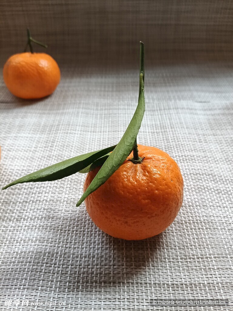 新鲜橘子