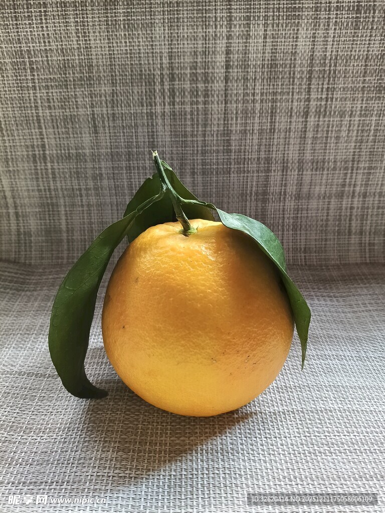 新鲜带叶橙子