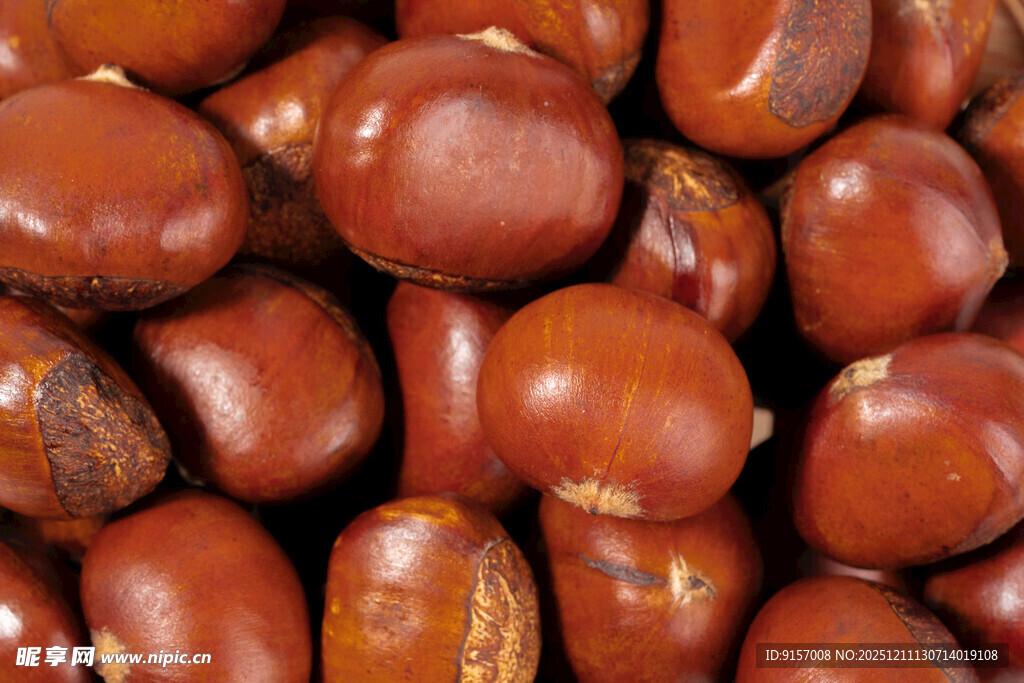 饱满板栗特写