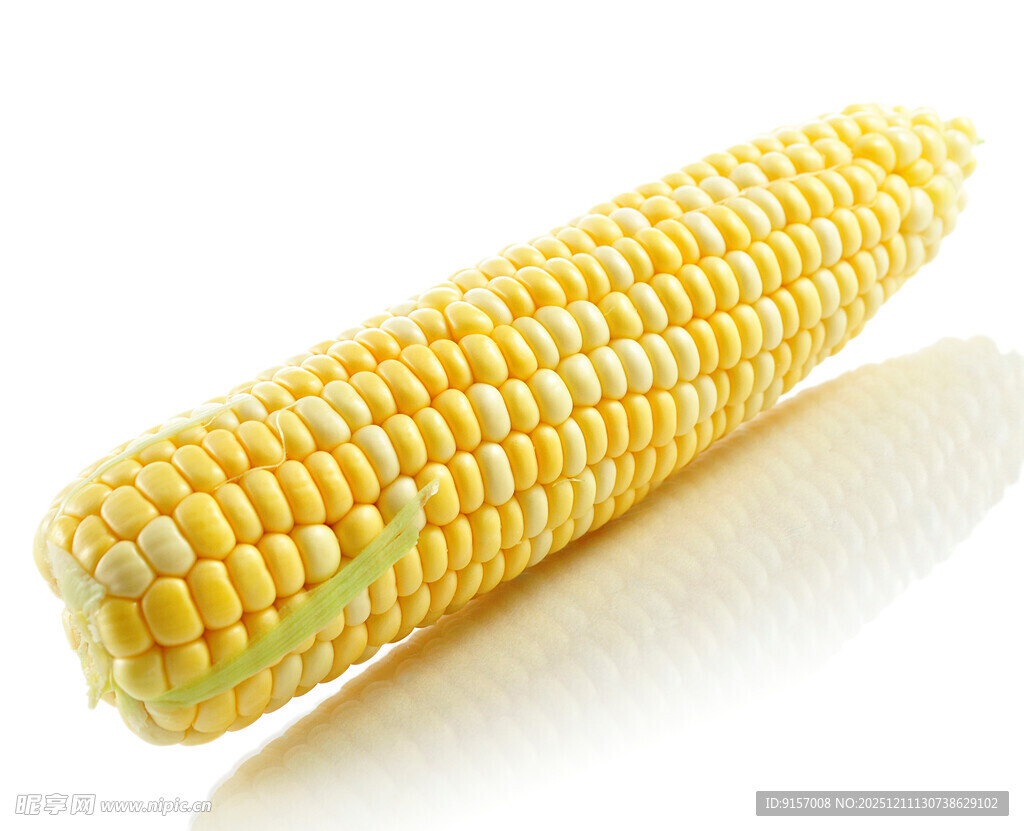 新鲜黄玉米