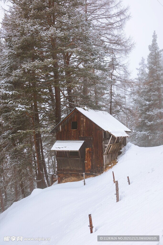 雪中山间木屋静谧景象