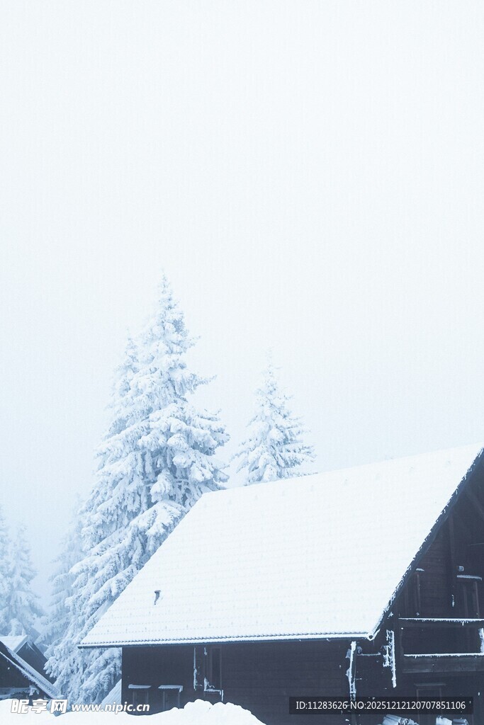 雪覆木屋与树木的冬日景象