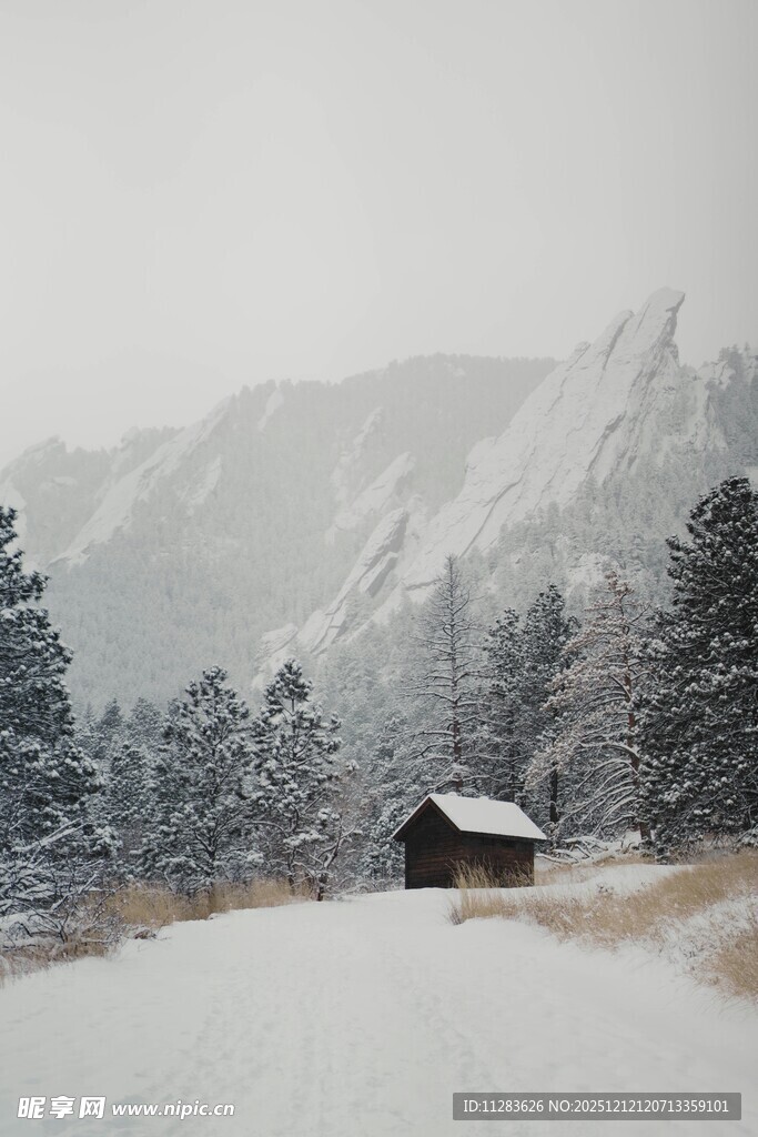 雪中山间小屋的静谧景致