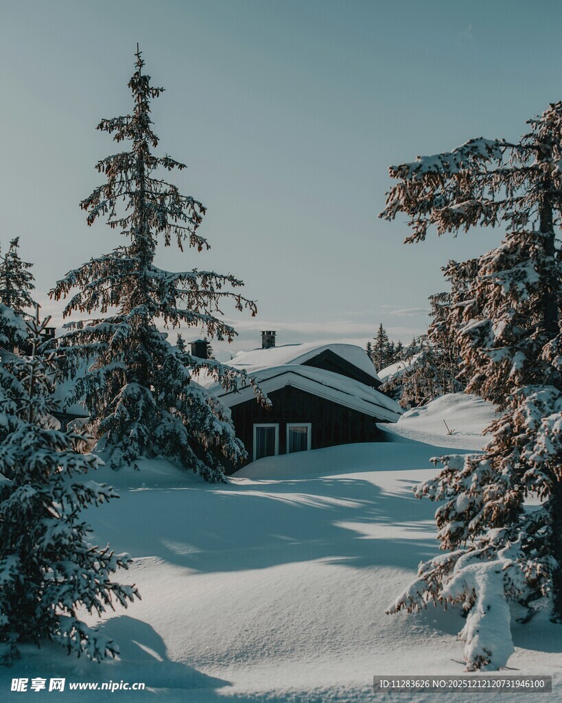 雪覆林间小屋的冬日美景