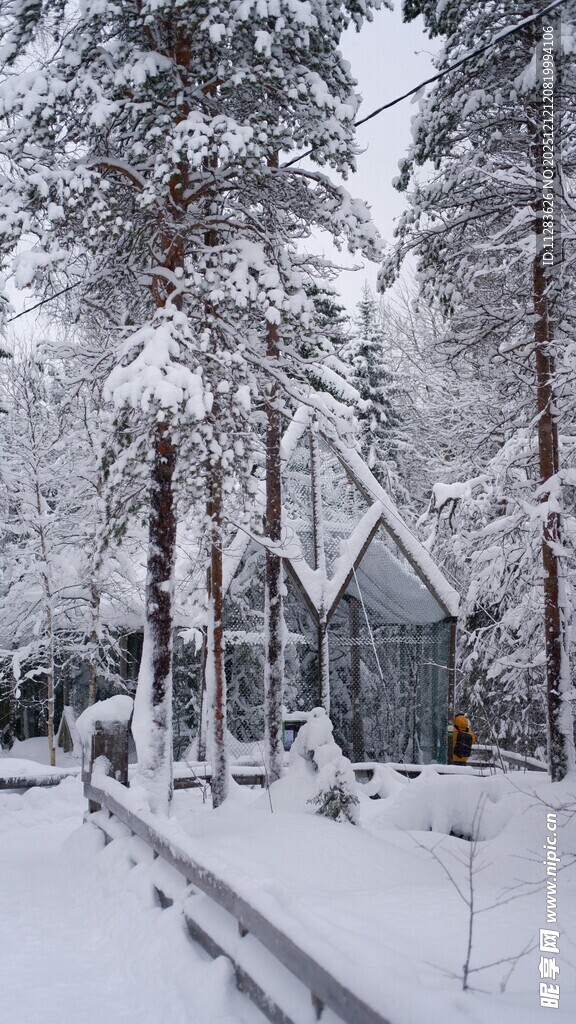 雪覆林间小屋冬日美景
