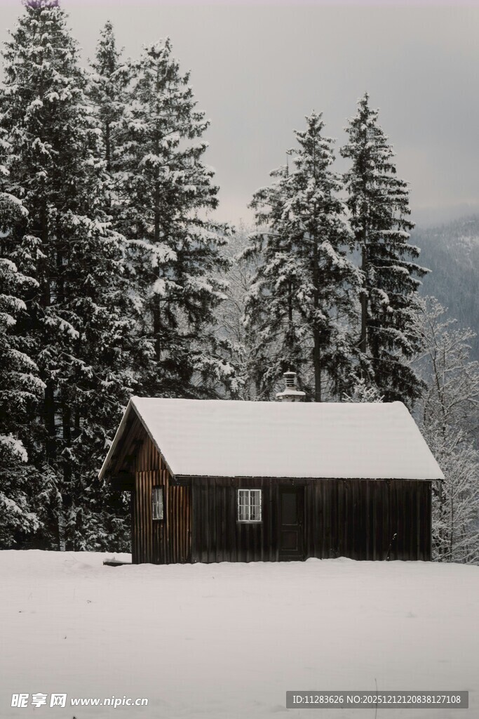 雪覆山林中的静谧小屋