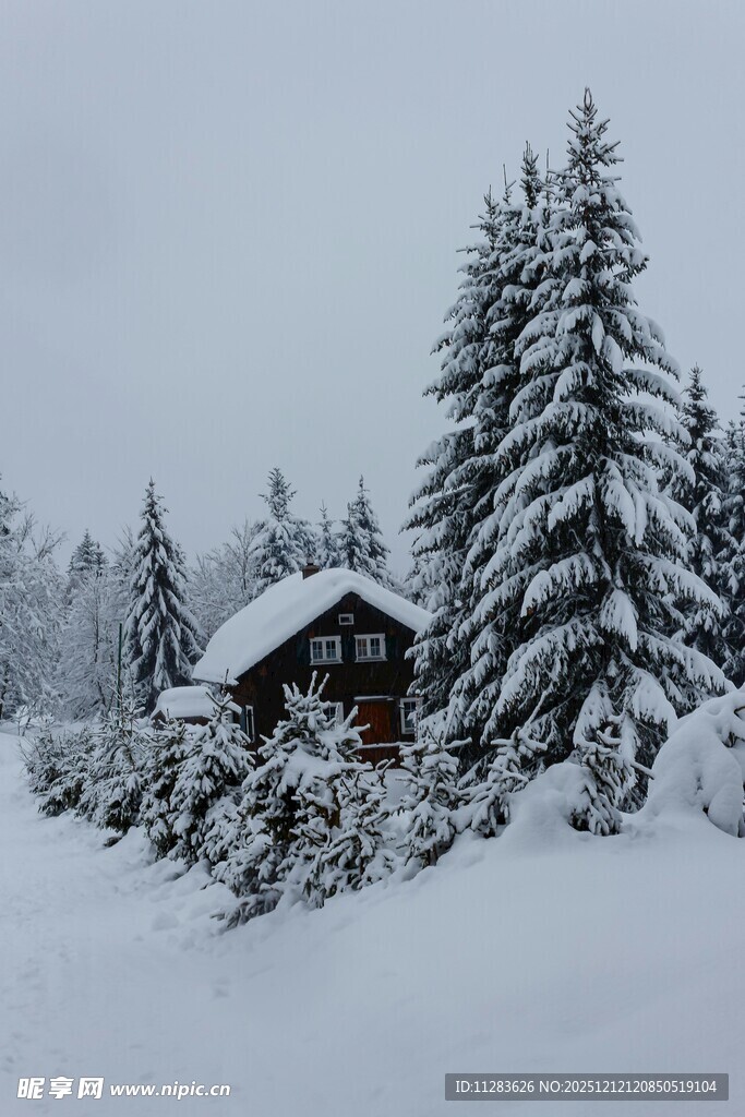 雪覆小屋与松景