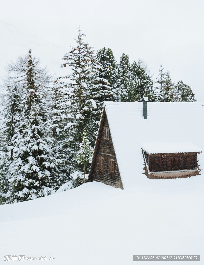雪覆木屋旁的葱郁松林
