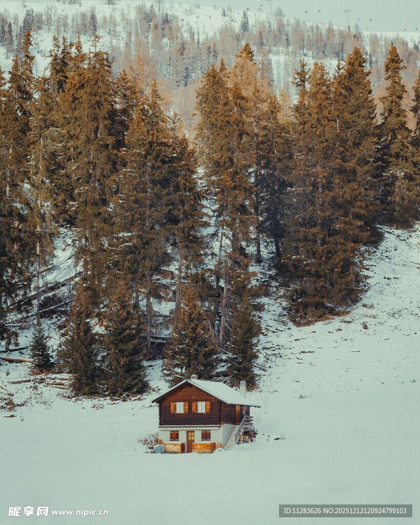 雪林中的温馨小屋