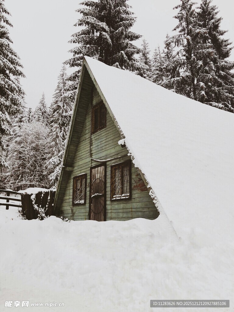山林中的静谧景致