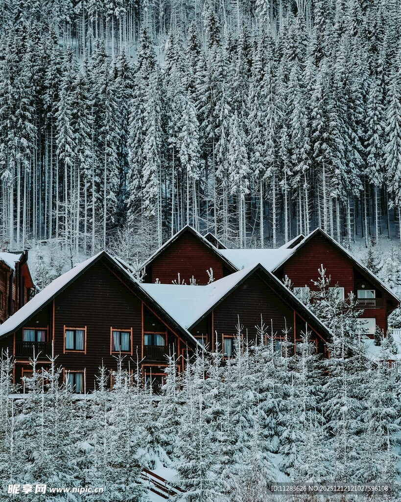 雪覆木屋